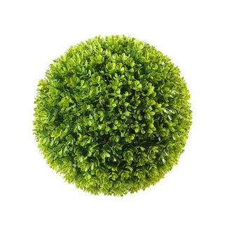 Grüner Pflanzenball für Gartendekoration im Freien